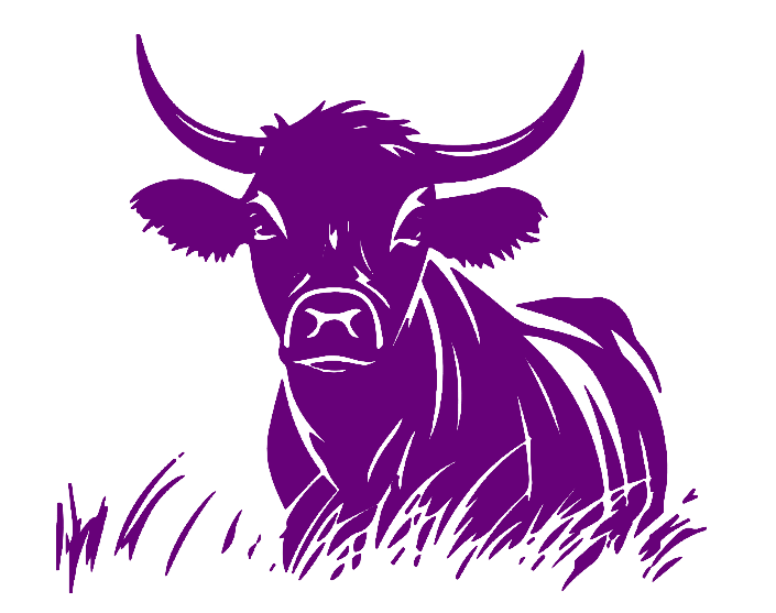 Purple bull